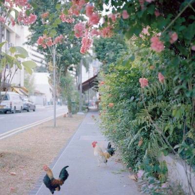 乐鱼全站官网在线登录