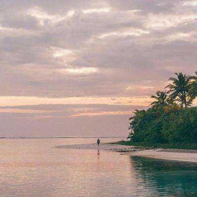 大发黄金版app下载下载手机版