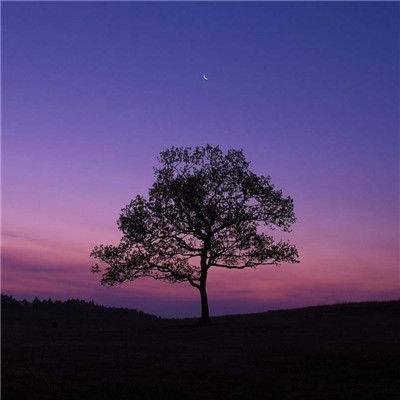 乐动体育网站官网版官方入口