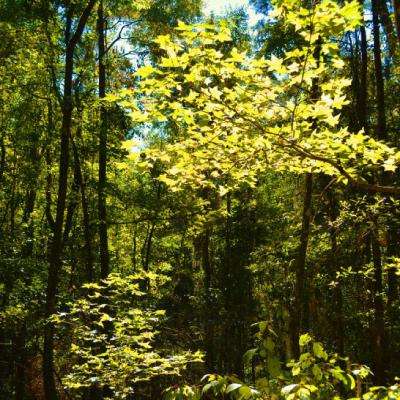 乐鱼全站官网在线登录